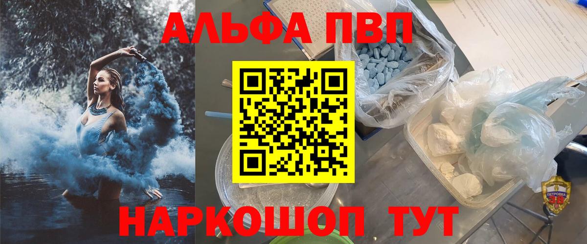 A PVP СК Норильск