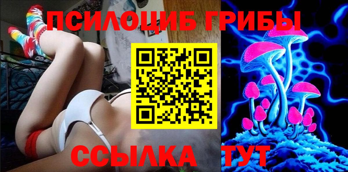 Псилоцибиновые грибы Psilocybe Норильск